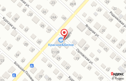 Продовольственный магазин на Орловской улице на карте