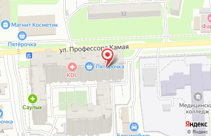 Магазин обоев Обоиград на улице Профессора Камая на карте