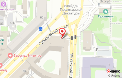 Контрольный комитет Губернатора Ленинградской области на карте
