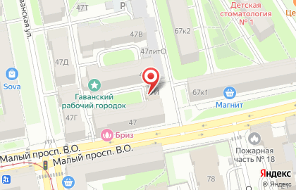 Управления МВД РФ по Василеостровскому району Инспекция по делам несовершеннолетних ОУУП и ПДН в Василеостровском районе на карте