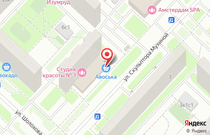 Авоська (ул Скульптора Мухиной) на карте