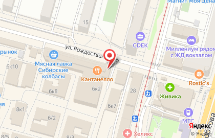 Магазин цветов и сувениров на улице Рождественского на карте