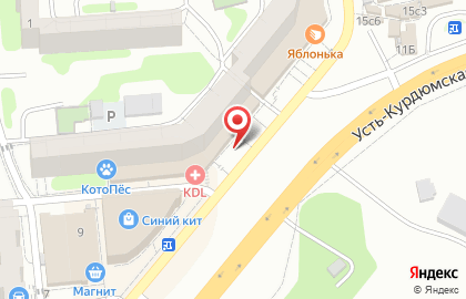 Магазин у дома Бристоль на Усть-Курдюмской улице на карте