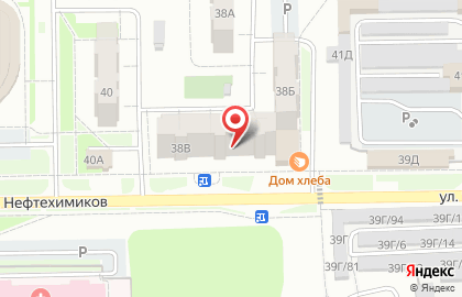 Зоомагазин Зообум в Тобольске на карте
