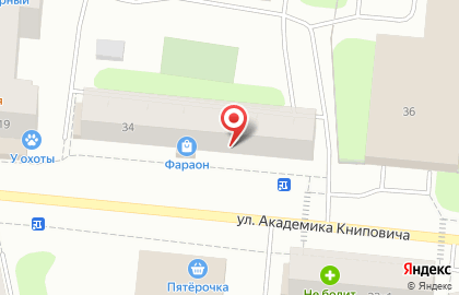 Сервисная компания Электроника-Сервис 51 на улице Академика Книповича на карте