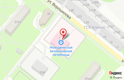 Ветеринарная станция Новодвинская городская станция по борьбе с болезнями животных на карте