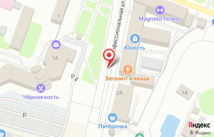 Ресторан Тай Чай на Профессиональной улице в Дмитрове на карте