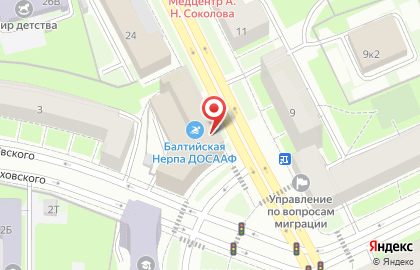 ДОСААФ России в Василеостровском районе на карте