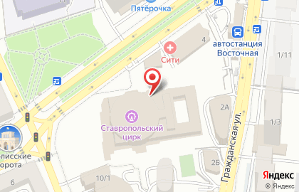 Российская государственная цирковая компания на карте