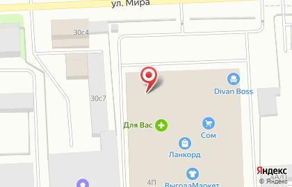 Магазин-склад цифровой и бытовой техники DNS Технопоинт в Ханты-Мансийске на карте