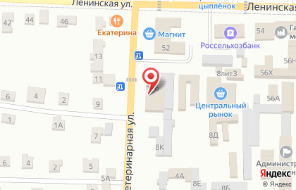 Магазин у дома Бристоль на Ветеринарной улице на карте
