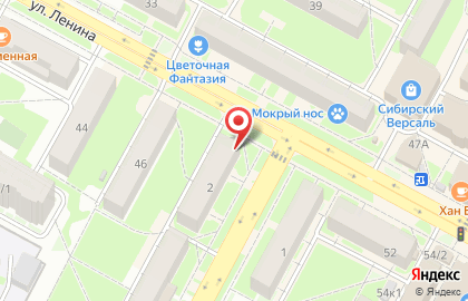 Творческая мастерская Юлии Фроловской на улице Ленина на карте