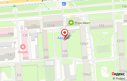 Ветеринарный центр Аврора на улице Гагарина на карте