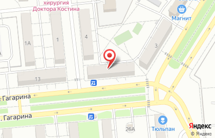 Светлое и Темное на улице Гагарина на карте