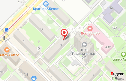 Центр развития института семьи межрегиональная ассоциация на Геодезической улице на карте