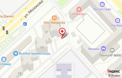 Ассоциация СЭЛТ на улице Молокова на карте