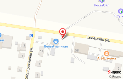 Киоск фастфудной продукции на Северной улице на карте