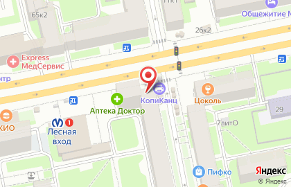Магазин цветов Цветовик на Лесном проспекте на карте