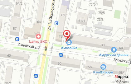 Зоополис на Амурской улице на карте
