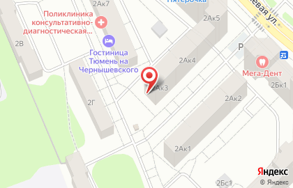 Мини-маркет У Евгенича на улице Чернышевского на карте