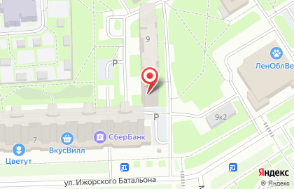 Мини-маркет Мини-маркет на улице Ижорского Батальона на карте