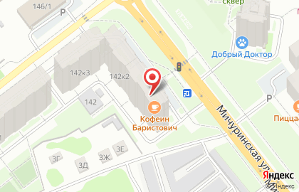 Магазин пенных напитков ЛИС на Мичуринской улице на карте