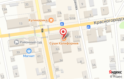 Магазин у дома Бристоль на Красногородской улице на карте