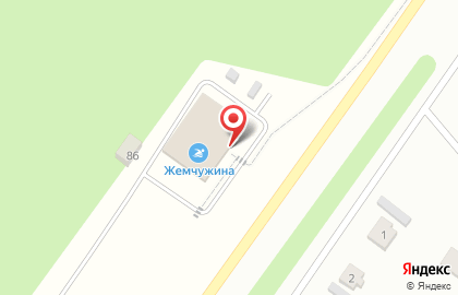 Плавательный бассейн Жемчужина на улице Чехова на карте