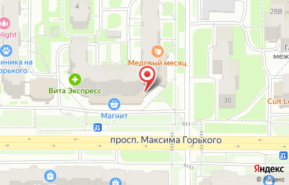 Продуктовый магазин на проспекте Максима Горького на карте
