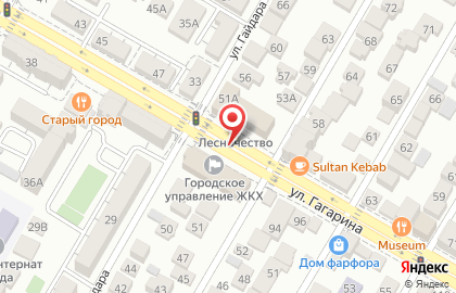 Русский Букет на улице Гагарина на карте