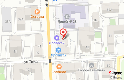 Патронажная служба Добрые люди на улице Ленина на карте