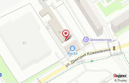 Зоомагазин на Сосновой, 11 на карте
