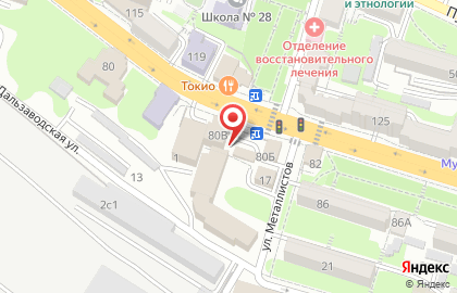 Новая Электронная Компания на Светланской улице на карте