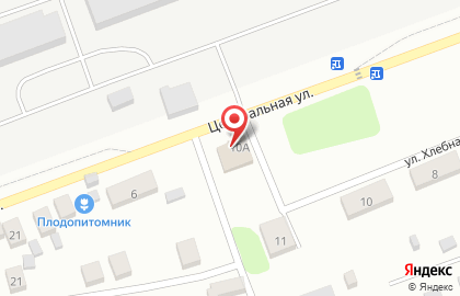 Замок на Центральной улице на карте