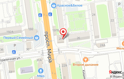 Цветы, ИП Ким М.Д. на Пограничной улице на карте