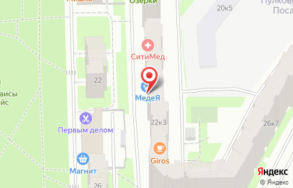 Ветеринарная клиника МедеЯ на Пулковском шоссе на карте