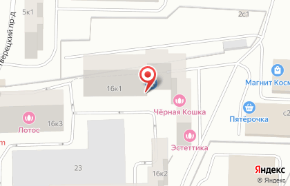Салон красоты Чёрная кошка в Солнечногорске на карте