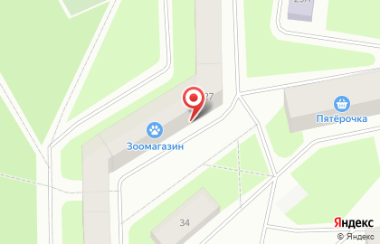 Зоомагазин в Мурманске на карте