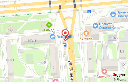 Киоск по продаже фастфудной продукции на улице Валентины Терешковой на карте
