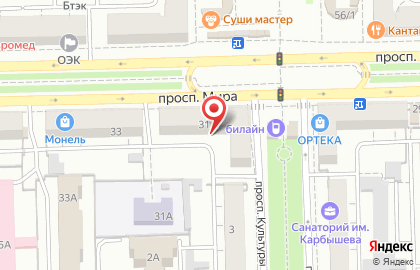 Магазин зоотоваров, ИП Андронова К.Ф. на карте