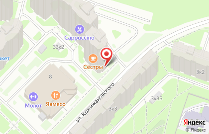 Салон красоты Cappuccino на метро Проспект Большевиков на карте