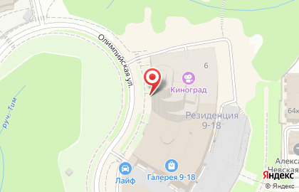Зоомагазин Четыре Лапы на Олимпийской улице в Видном на карте