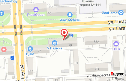 Магазин Горилка на улице Гагарина, 79 на карте