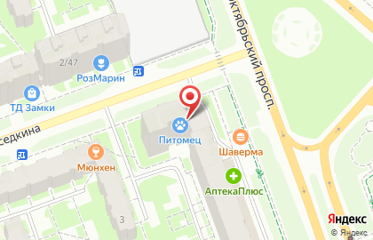 Ветеринарная клиника Питомец на Октябрьском проспекте на карте