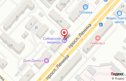 Интернет-провайдер Сибирский Медведь на проспекте Ленина на карте