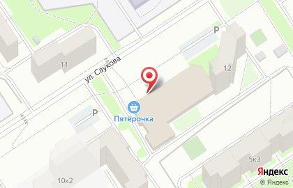 Зоомагазин Лапки в Заволжском районе на карте