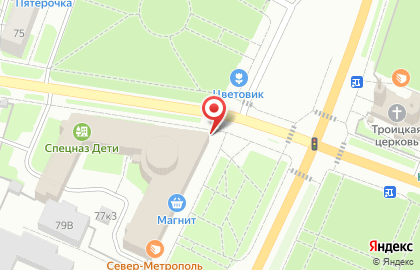 Красносельское экскурсионное бюро Надежда на карте