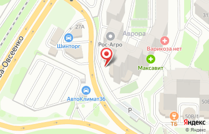 Региональная общественная организация содействия в решении социальных проблем семьи и человека Воронежской области Право на жизнь на карте