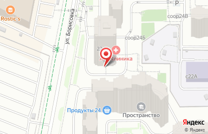 Центральная цветочная база Одилия на улице Борисовка на карте
