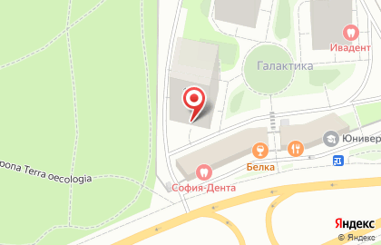 Частный детский сад Фунтик на шоссе Космонавтов на карте